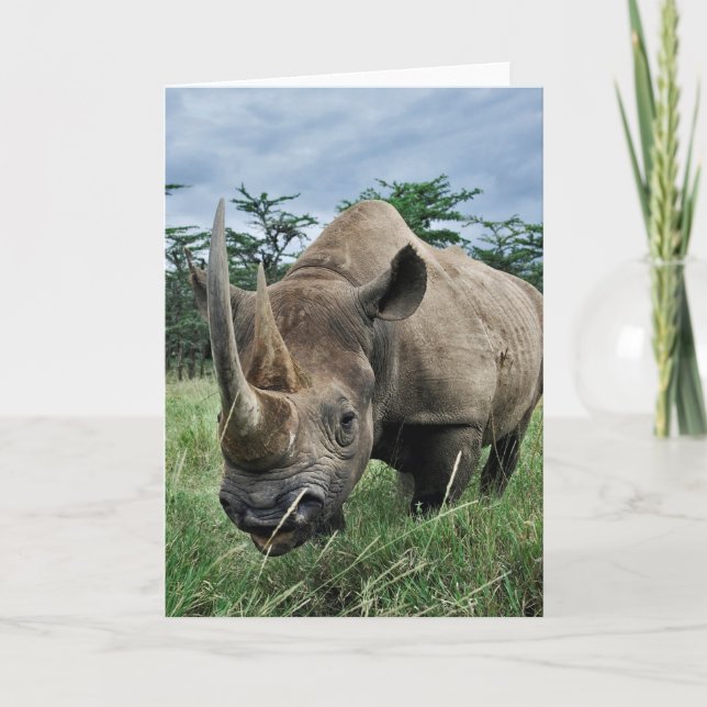 Svart Rhinoceros| Kenya Kort (Framsida)