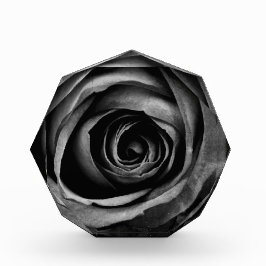 Svart Ro Flower Blommigt Decorative Vintage