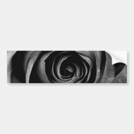 Svart Ro Flower Blommigt Decorative Vintage Bildekal