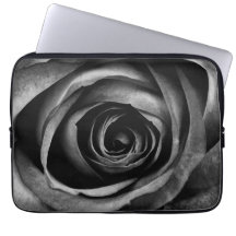 Svart Ro Flower Blommigt Decorative Vintage