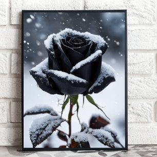 Svart Ro i Snö - Moody utskrift av Blommigt på vin Poster