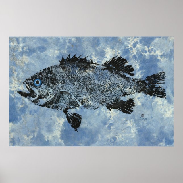 Svart Rockfish på Blue - 36 x 24-tums Poster (Framsidan)