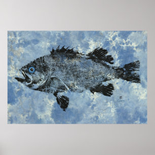 Svart rockfisk på blå - 36 x 24 tum Poster