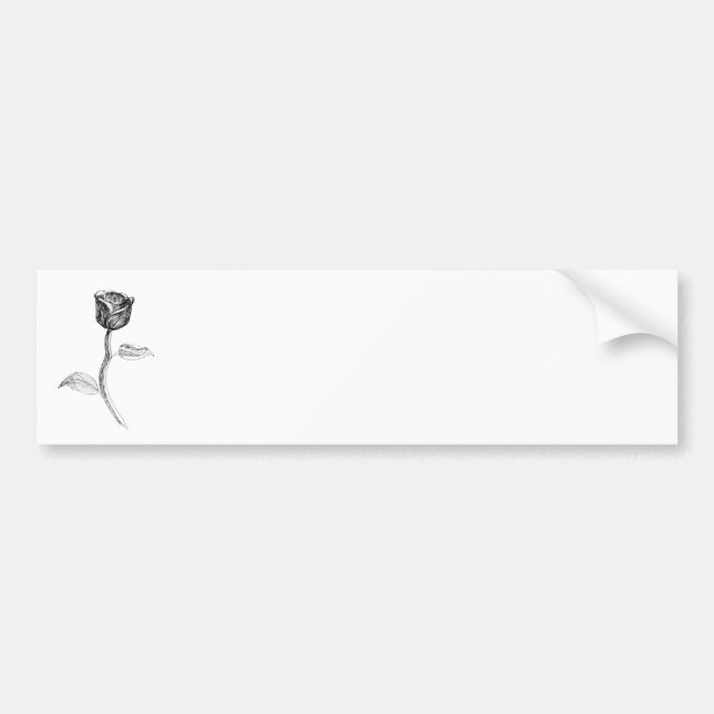 Svart Rose. Bildekal (Framsidan)