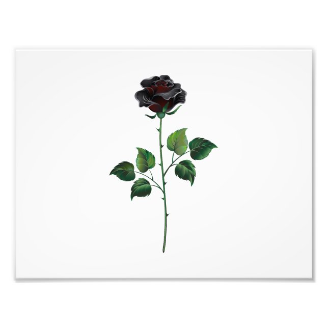 Svart rosenblomma fototryck (Framsidan)