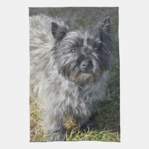 Svart röseTerrier Kökshandduk
