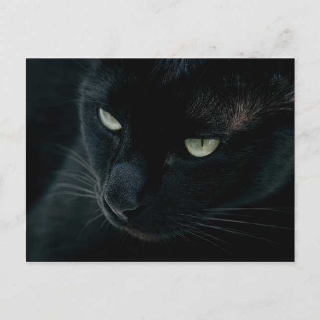 Svart rutor - vykort (Framsida)