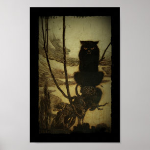 Svart rynka pannan för katt poster