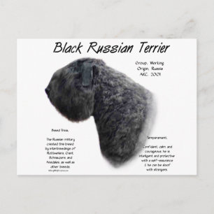 Svart rysk terrier-historikdesign vykort