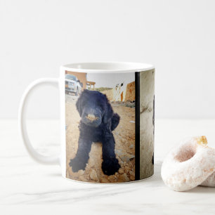 Svart rysk Terriermugg Kaffemugg