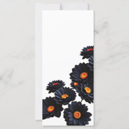 Svart sammetblommor