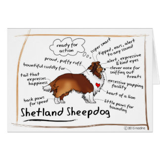 Svart sheltie hälsningskort