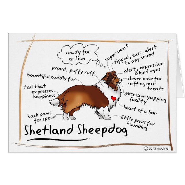 Svart sheltie hälsningskort (Framsidan Horizontal)