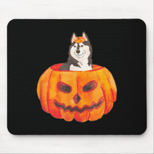 Svart sibirisk huskyhund Glad Halloween Pumpa Musmatta