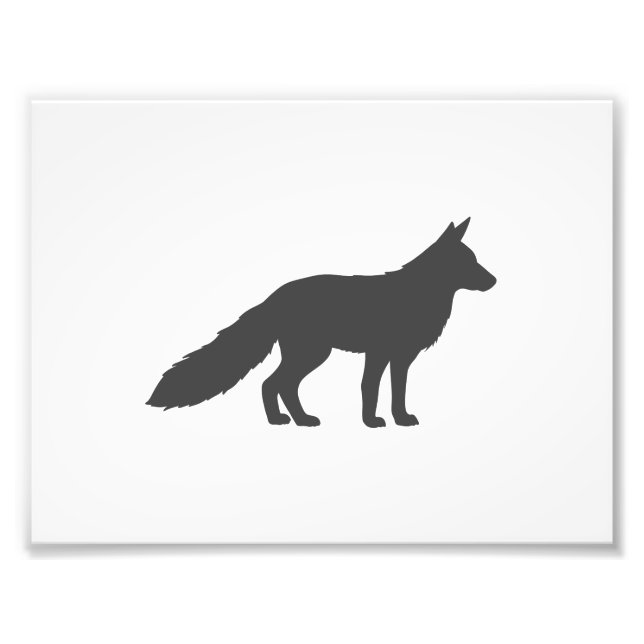 Svart silhuett av fluffy Fox Fototryck (Framsidan)