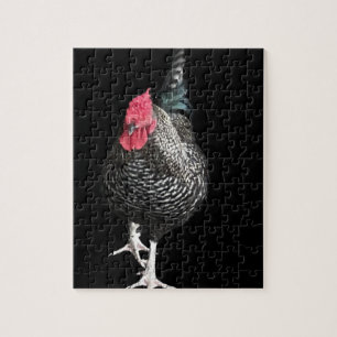 Svart skärande Cockerel nr 3 Pussel