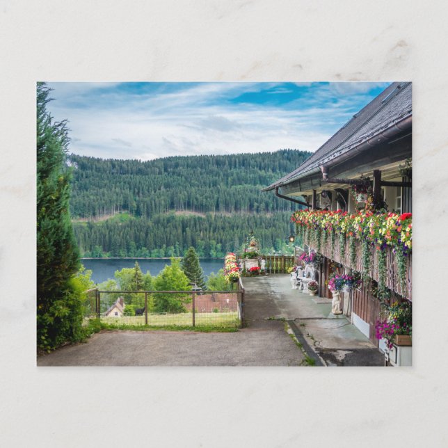 Svart skog, Tyskland Vykort (Framsida)