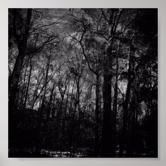 SVART SKOGAR PÅ POSTER