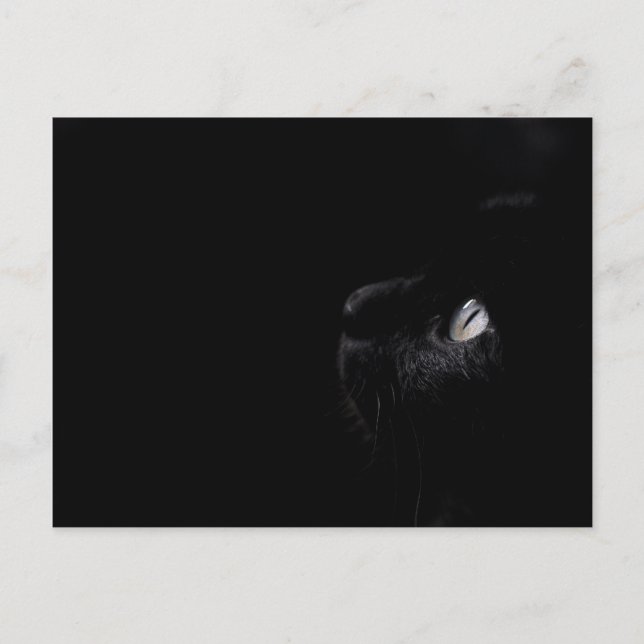 Svart skönhet - vykort (Framsida)