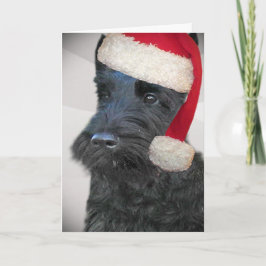 Svart skotskt TerrierSanta kort