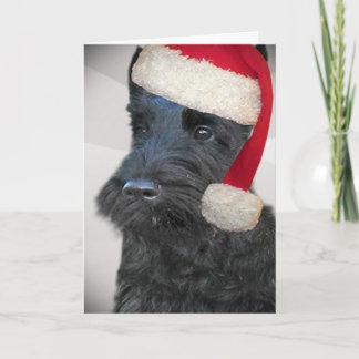 Svart skotskt TerrierSanta kort