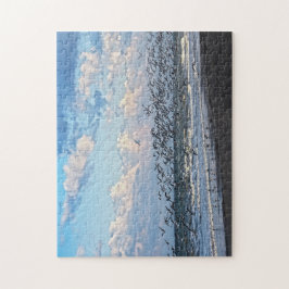 Svart skvärmare lyfter på Kap Canaveral Beach Pussel