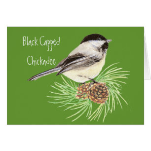 Svart, skyddat chickadee - fågel - natur hälsningskort