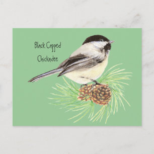 Svart, skyddat chickadee - fågel - natur vykort