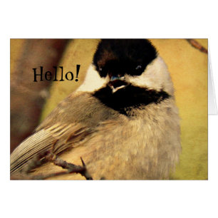 Svart skyddat chickadee-foto hälsningskort