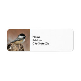 Svart, skyddat Chickadee Snö Photo Returadress Etikett