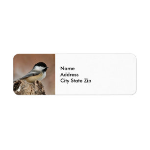 Svart, skyddat Chickadee Snö Photo Returadress Etikett