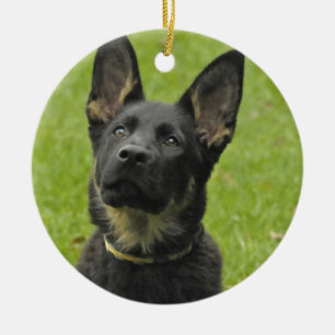 Svart & solbränd GSD-valp Julgransprydnad Keramik