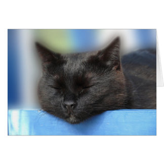 Svart sova för katt hälsningskort