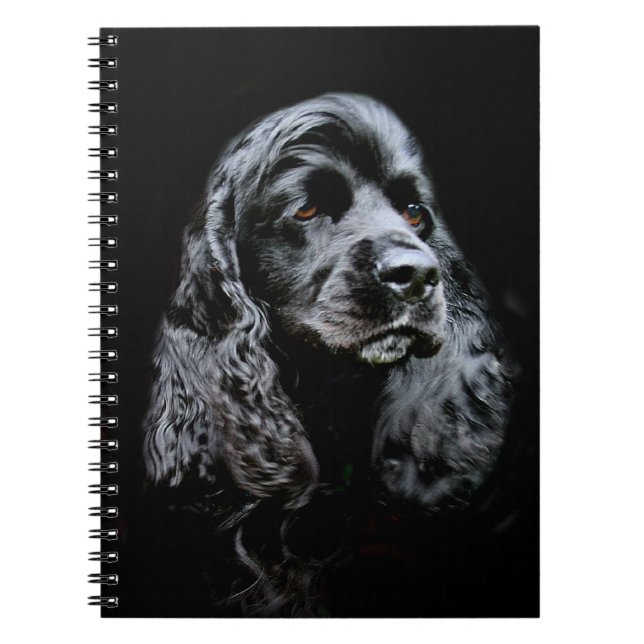 Svart spaniel anteckningsbok (Framsidan)