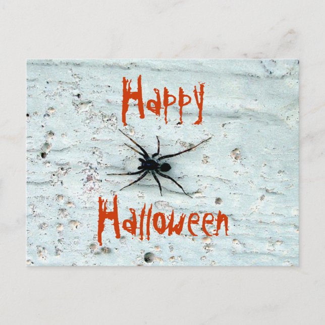 Svart spindelvykort vykort (Framsida)