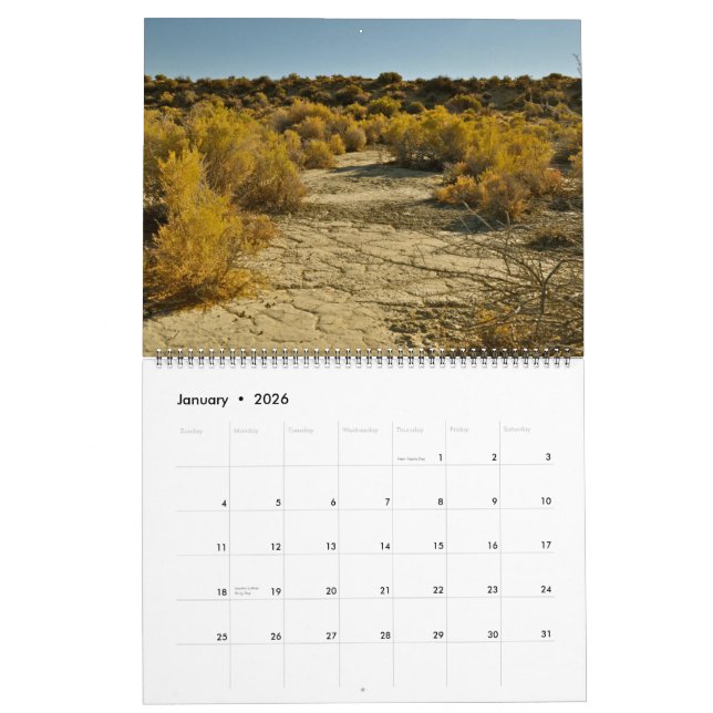 Svart stenökenPlaya kalender 2013-2014 (Jan 2026)