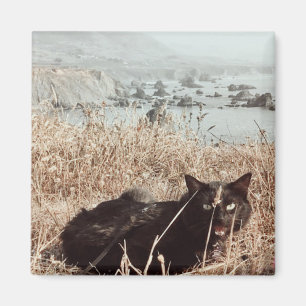 Svart strandkatt magnet