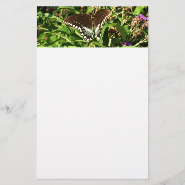Svart Svalstjärt Fjäril Naturfotografering Brevpapper (Framsida)