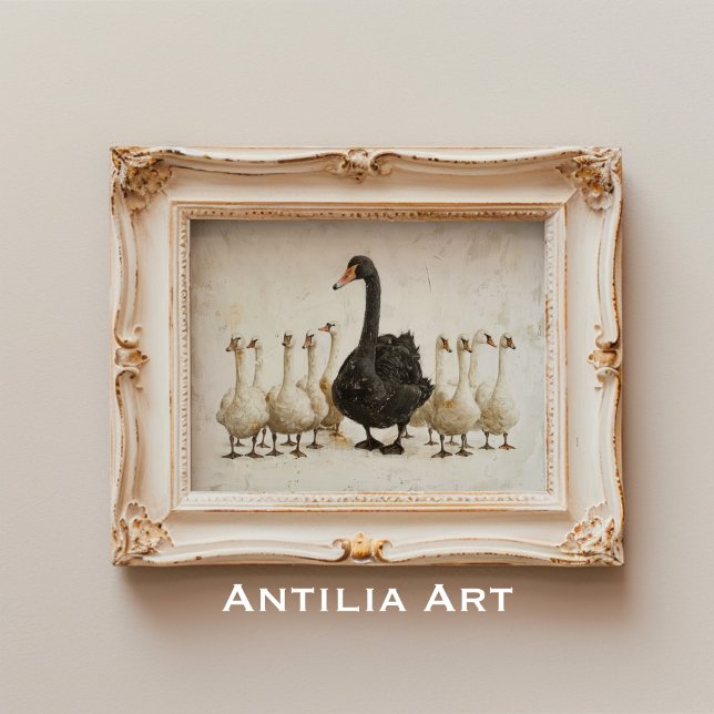 Svart Svan bland vita Svanar Farm Animal Art Art Poster (Skapare uppladdad)