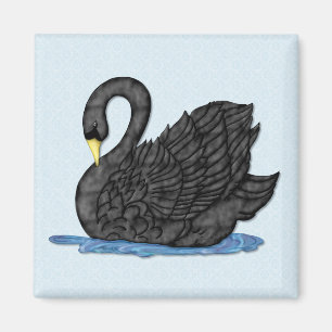 Svart svan magnet