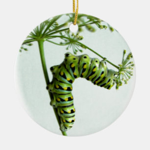 Svart Swallowtail Caterpillar som äter parsley Julgransprydnad Keramik