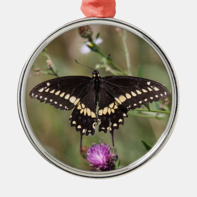 Svart Swallowtail Julgransprydnad Metall (Framsidan)
