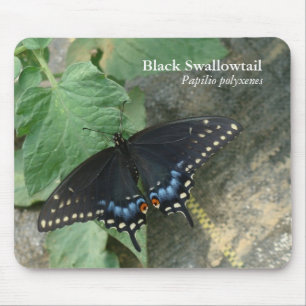 Svart Swallowtail Mousepad Musmatta