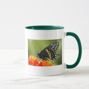 Svart swallowtail mugg