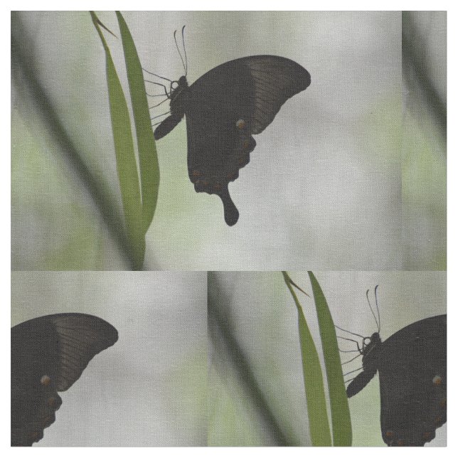 Svart Swallowtail Tyg (Närbild)
