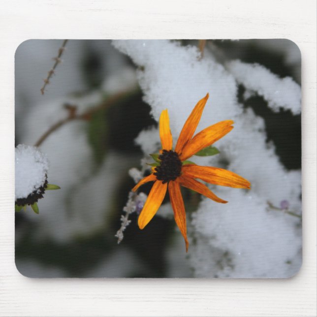 svart synade susan i den första snön musmatta (Framsidan)