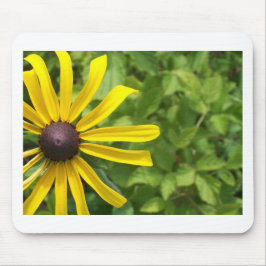 Svart-synade Susan Musmatta