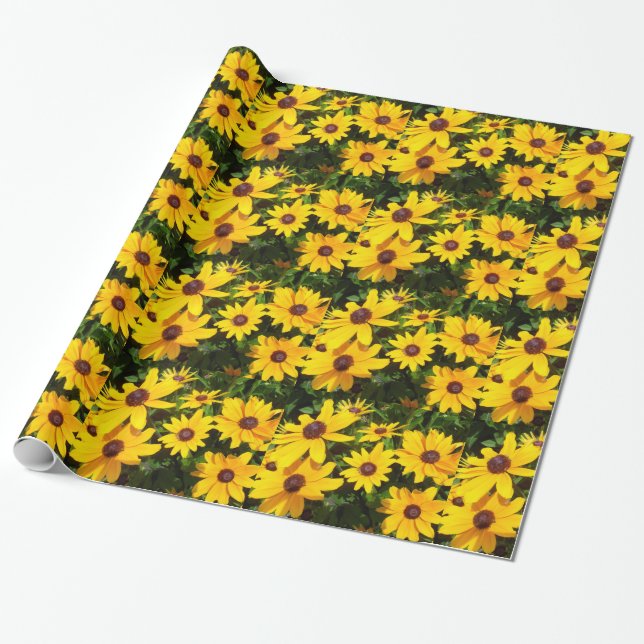 Svart synade Susans- Rudbeckias Presentpapper (Utrullad)