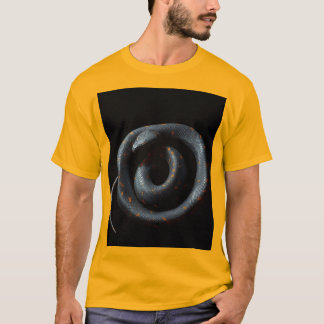 Svart T Shirt