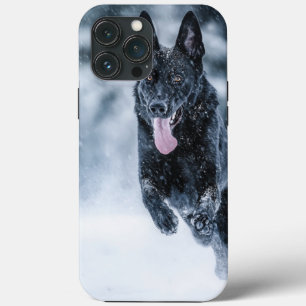 Svart täcke med tysk schäferhund i snö